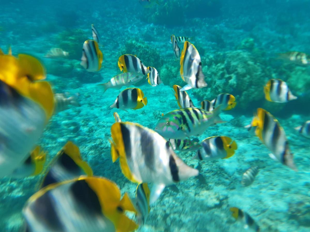 Fare o'Eden Villa Bora Bora Dış mekan fotoğraf